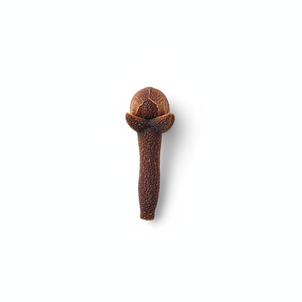 Clove